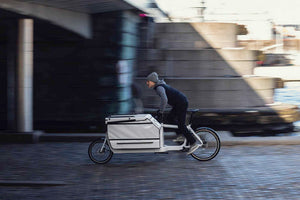 Bullitt X