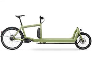 E - Bullitt X EP801