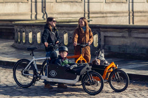 E - Bullitt EP600