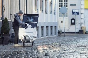 E - Bullitt X EP801