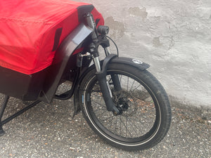 Riese & Müller Packster 60