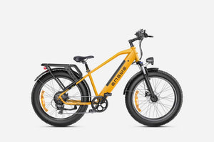 Engwe E26 Fat bike